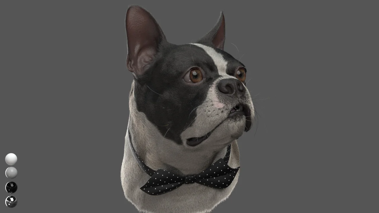 CG Dog