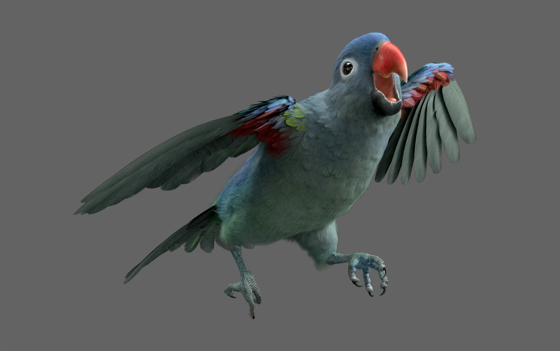 Blue Parrot