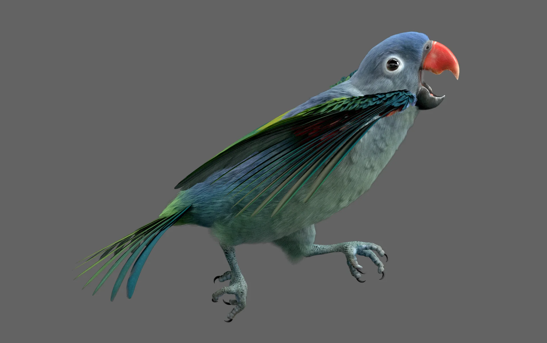 Blue Parrot