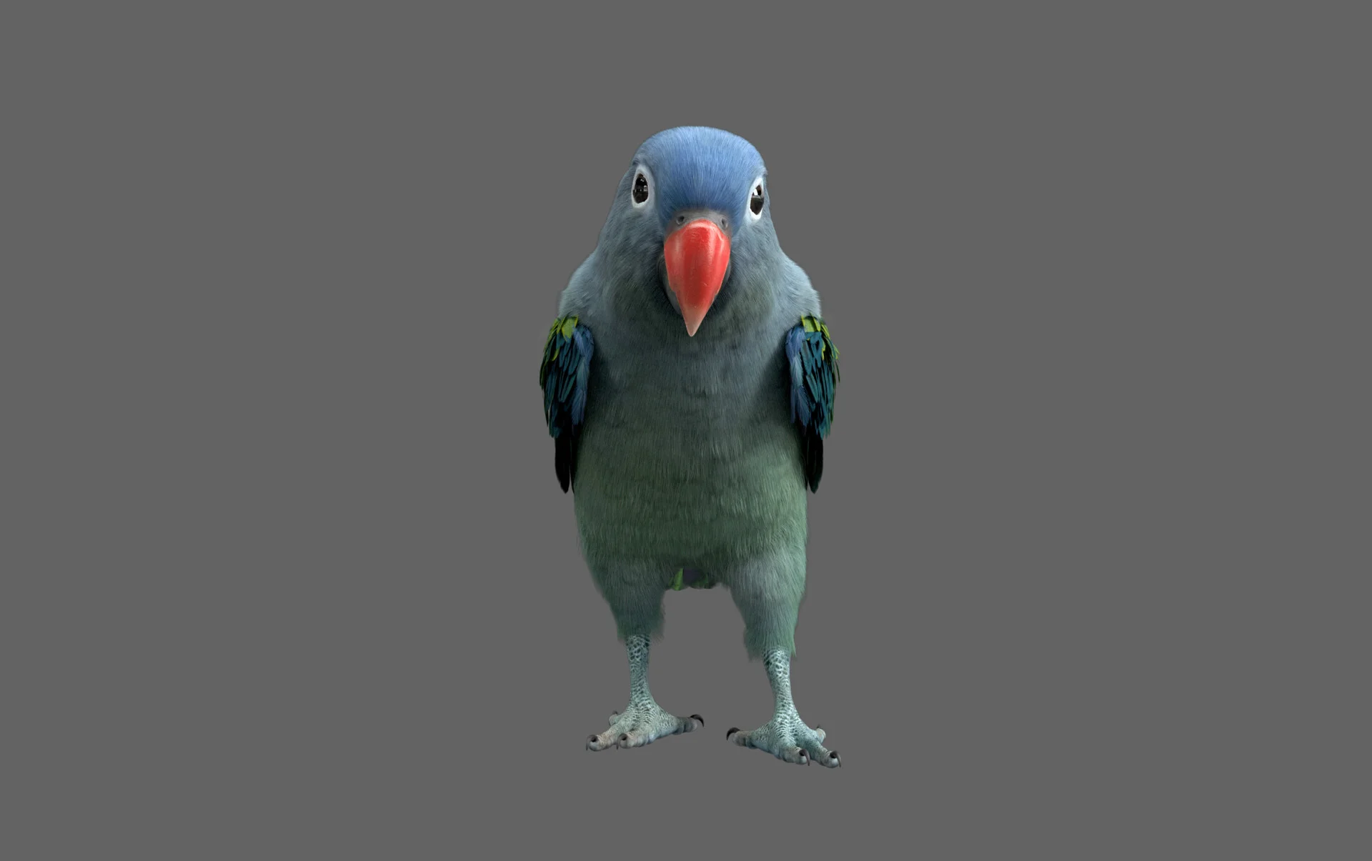 Blue Parrot