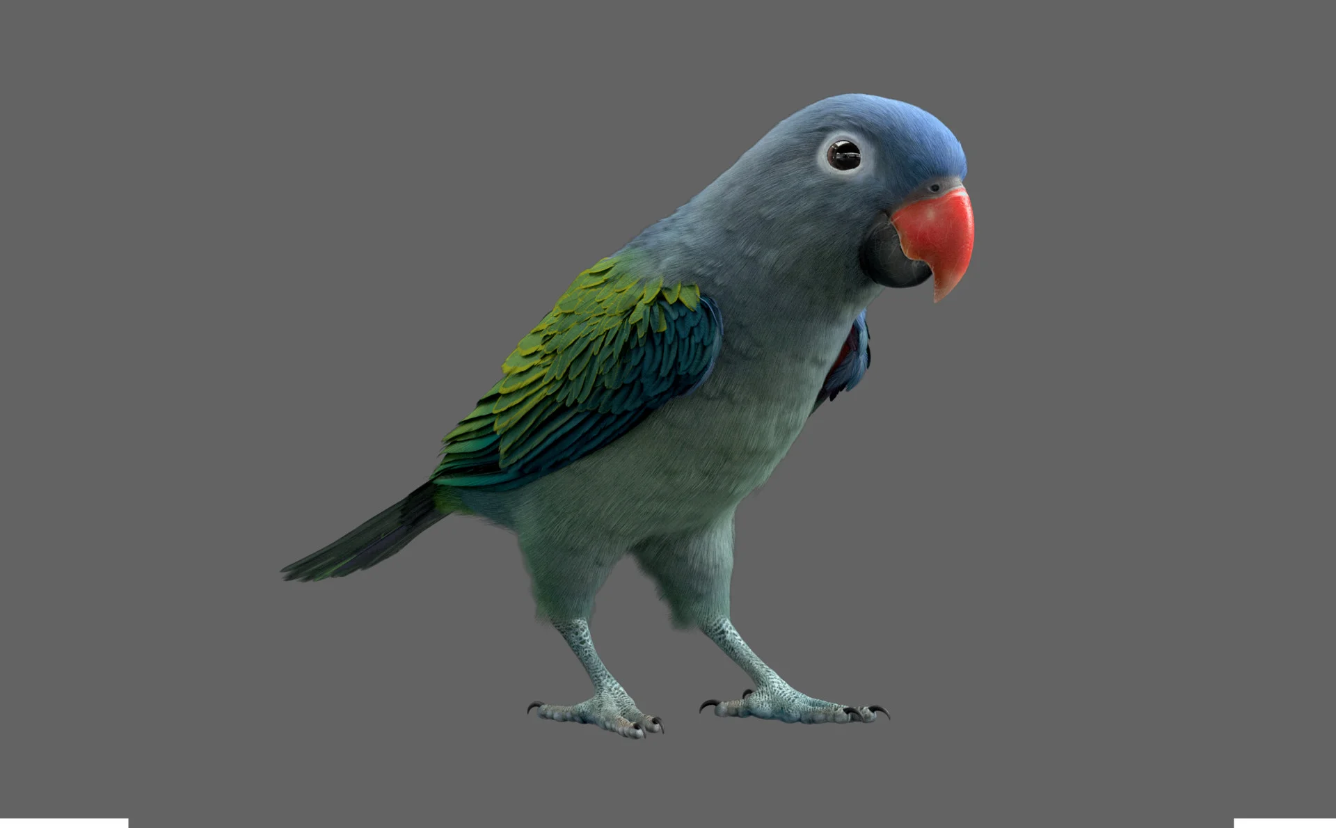 Blue Parrot