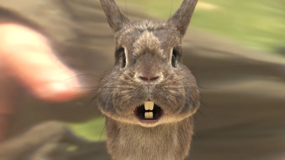 CG Rabbit — Nino